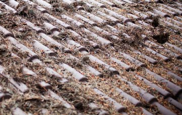 Stonehills roof cleaning companies